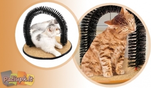 Su stovu-žaidimu "Perfect Kitty Pad"Jūsų katė bus tvarkinga ir laiminga!