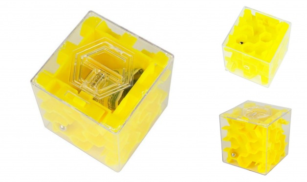 Pinigų labirintas - galvosūkis (geltonas)