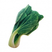 Dekoratyvinė pagalvėlė "Salotos Pak Choi" Dekoratyvinė pagalvėlė "Salotos Pak Choi"