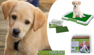 "Puppy Potty Pad" augintinio dėžutė – daugiau jokio kvapo ir balučių! "Puppy Potty Pad" augintinio dėžutė – daugiau jokio kvapo ir balučių!