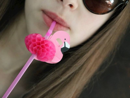 Šiaudeliai vakarėliams "Flamingas", 12 šiaudelių, Rožiniai