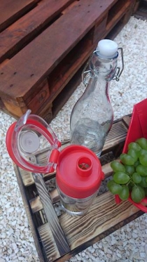 Plastikinė gertuvė su indeliu vaisiams ar ledui, 700 ml
