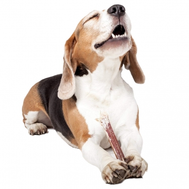 Džiovintų jaučių penių lazdelės "Natural Dog Treats", 5 vnt
