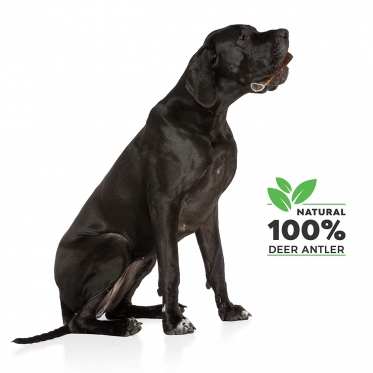 "Elnio ragas" natūralus šuns kramtukas "Natural Dog Treats" (M dydis 130 - 180 g)