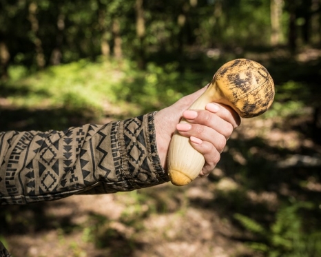 Antistresinis grybas "King Trumpet", 15 x 7 cm