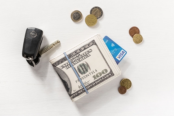 Piniginė "Doleris", 11 x 9,3 cm