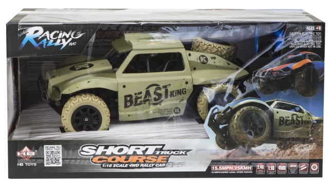 "HB Toys" nuotolinio valdymo ralio mašinėlė "Racing Rally"