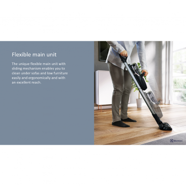 Dulkių siurblys "Electrolux PF91-ANIMA"