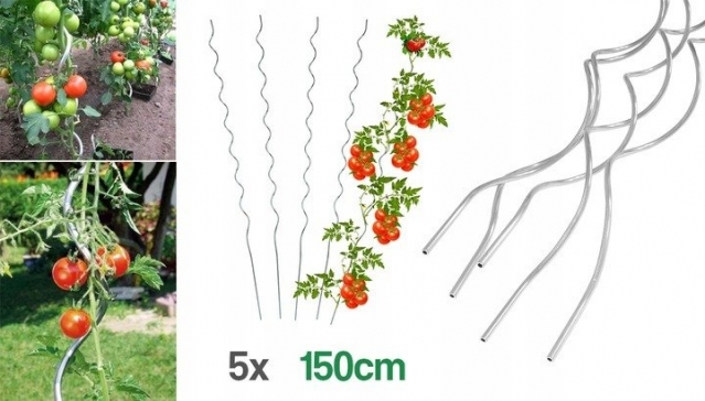 Šiltnamis su pomidorų auginimo strypais "Carruzzo", 2 x 2 x 2 m
