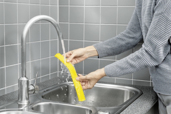 Langų valytuvas "Karcher WV 6 Plus"