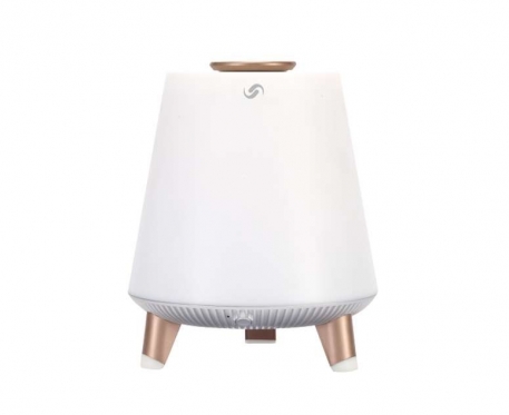 Garso kolonėlė Blaupunkt BT25LAMP