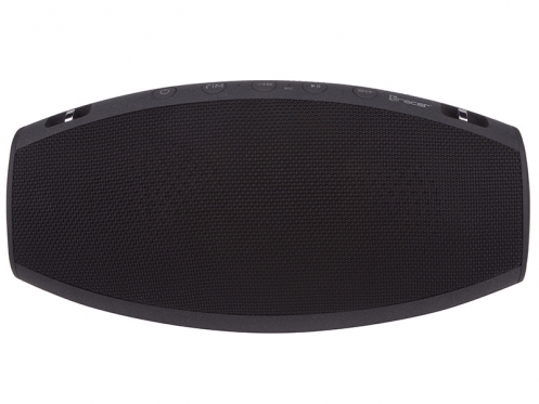 Garso kolonėlė Tracer Champion BT black 46171