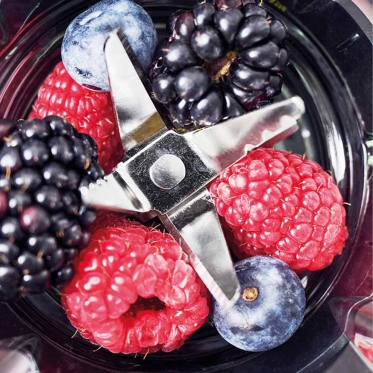 Trintuvas Gastroback 41030 Design Smoothie Maker Mix & Go