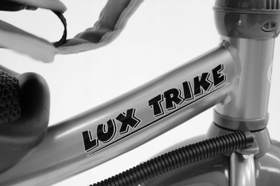 Daugiafunkcinis triratis vežimėlis "Baby Mix Lux Trike" (pilka)