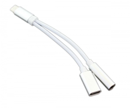 USB-C garso jungties 3,5 mm ir USB-C adapteris, 13 cm (sidabrinis)
