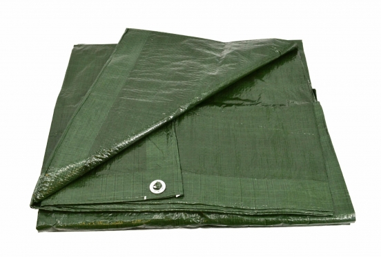 "AWtools" 90 g/m2 tentas, 5 x 6 m (žalias)