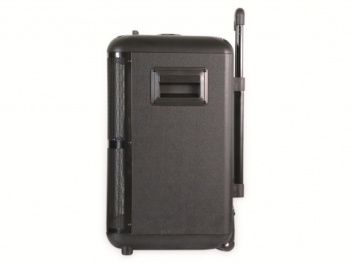 Garso kolonėlė Denver TSP-306