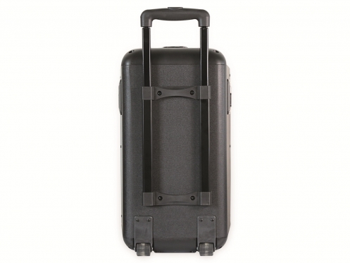 Garso kolonėlė Denver TSP-306