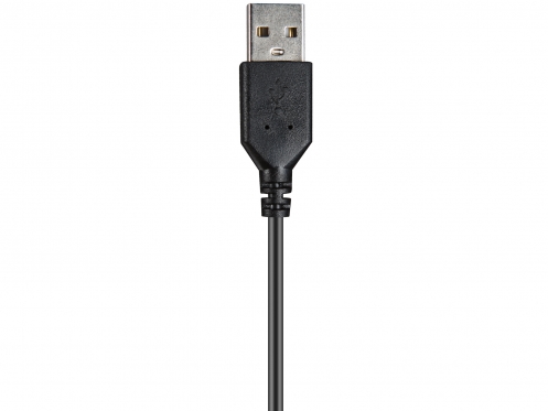 Ausinės Sandberg 126-16 USB Chat Headset