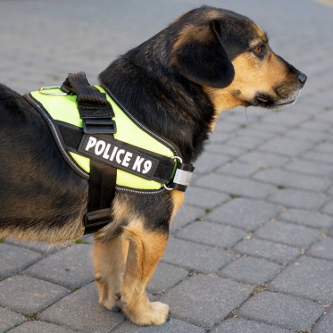 Pakinktai šuniui "Police K9", 70 - 90 cm (juodi, raudoni)