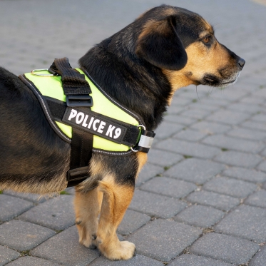 Pakinktai šuniui "Police K9", 65 - 80 cm (juodi, raudoni)