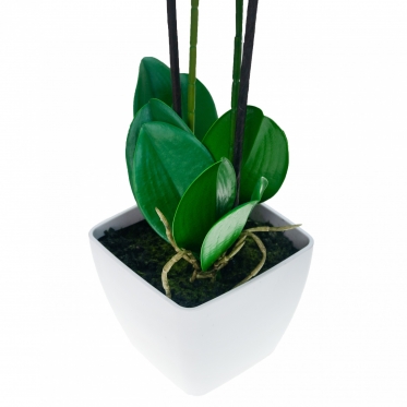 Dirbtinė dvistiebė orchidėja vazone, 55 cm (tamsiai violetinė)