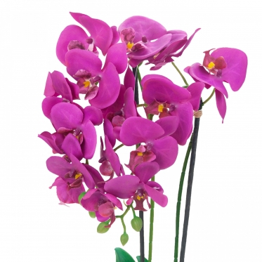Dirbtinė dvistiebė orchidėja vazone, 55 cm (tamsiai violetinė)