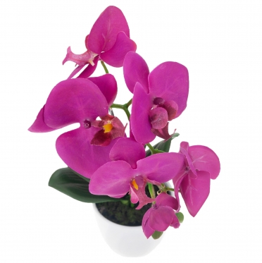 Dirbtinė vieno stiebo orchidėja vazone, 35 cm (tamsiai violetinė)