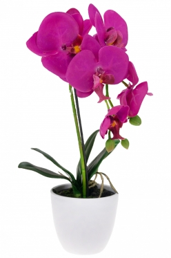 Dirbtinė vieno stiebo orchidėja vazone, 35 cm (tamsiai violetinė)