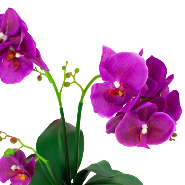 Dirbtinė tristiebė orchidėja vazone, 40 cm