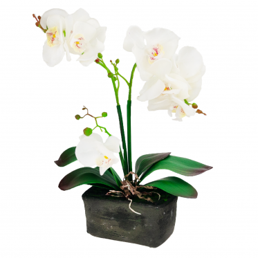 Dirbtinė tristiebė orchidėja vazone, 40 cm