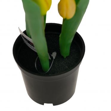 Dirbtinės tulpės vazone, 23 cm (geltonos)