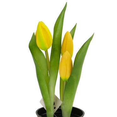 Dirbtinės tulpės vazone, 23 cm (geltonos)