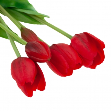 Dirbtinės tulpės, 5 vnt (raudonos)