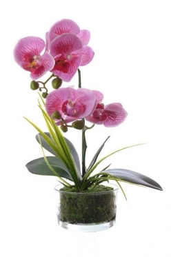 Dirbtinė vieno stiebo orchidėja vazone, 33 cm (šviesiai rožinė)