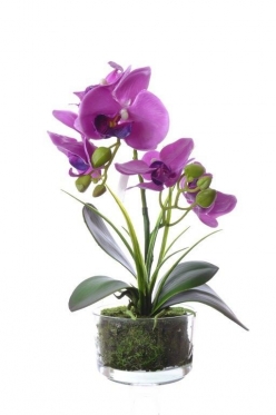 Dirbtinė vieno stiebo orchidėja vazone, 33 cm (šviesiai violetinė)