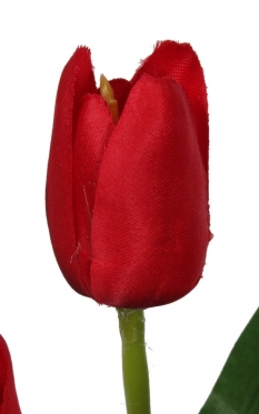 Dirbtinės tulpės, 6 vnt (raudonos)