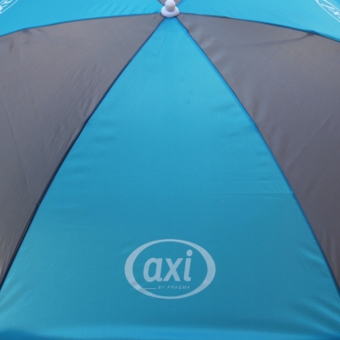 Vandens stalas - smėlio dėžė su skėčiu "AXI"