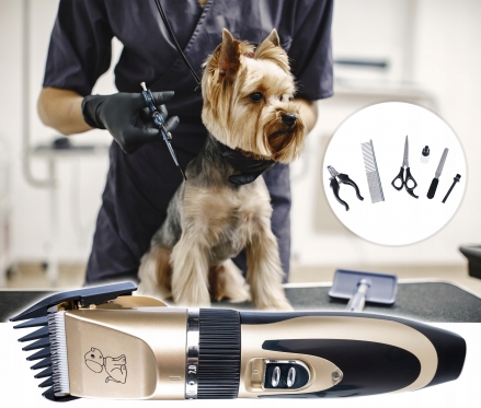 Belaidė šunų plaukų kirpimo mašinėlė ir priedai