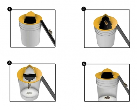 Spąstai pelėms, 30,5 x 10 cm