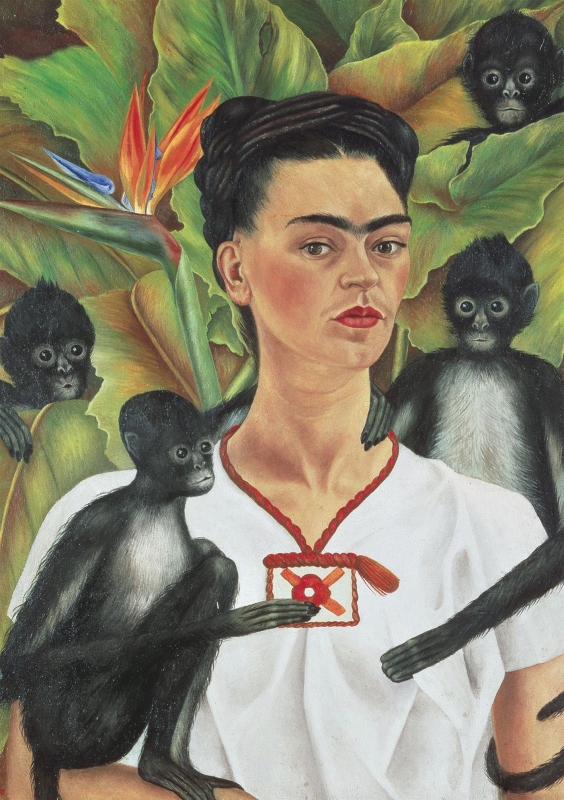 Dėlionė Frida Kahlo, 1000 Det.