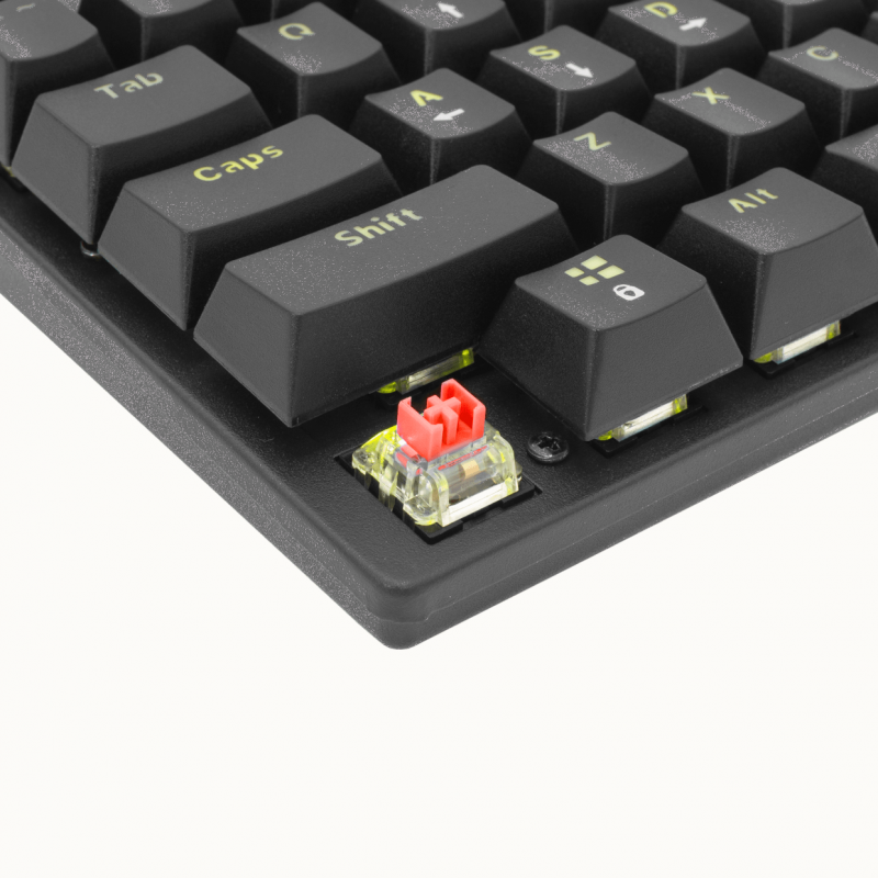 Keyboards White Shark Gk-2107 Commandos Elite Red