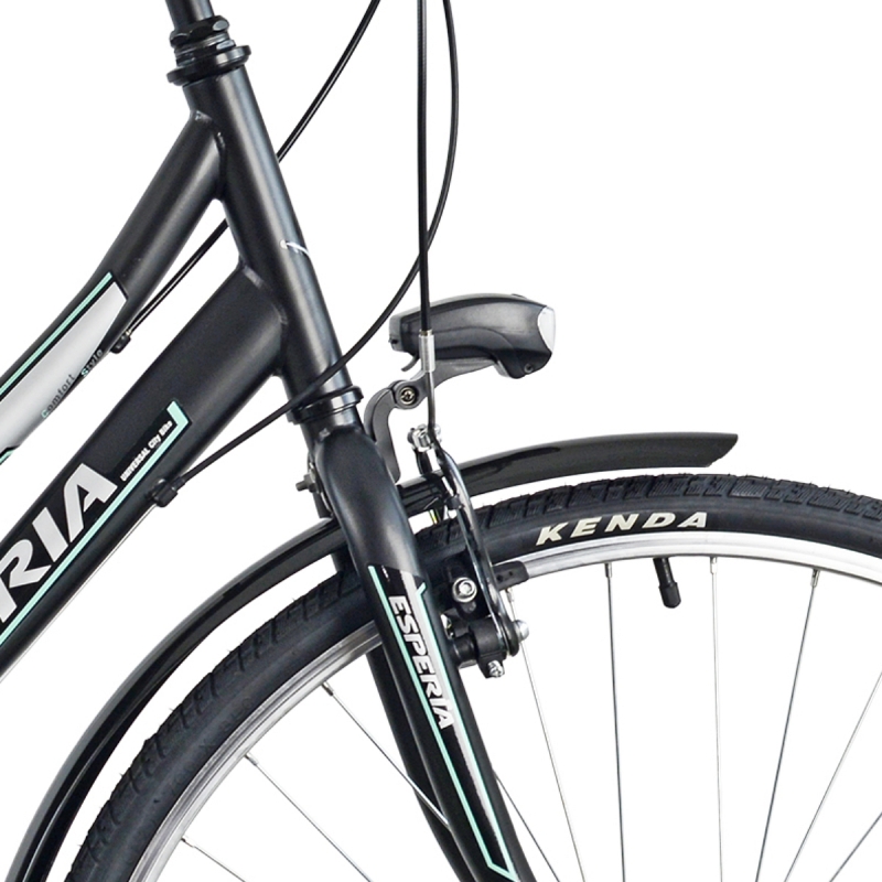 Esperia 28 Universal Lady City Bike Frame Size M Black