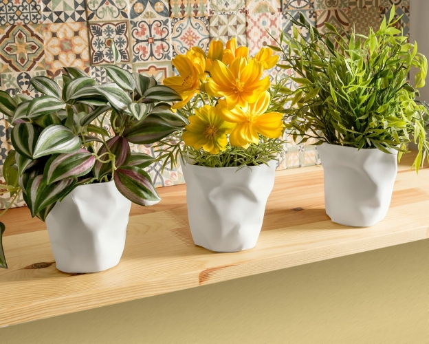 Sutraiškytos Pieštukinės, 3Vnt, Balta