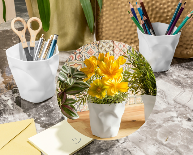 Sutraiškytos Pieštukinės, 3Vnt, Balta