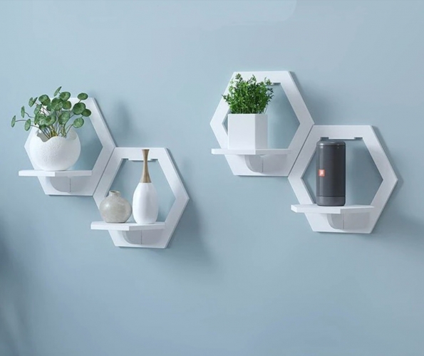 Sieninė Lentyna, Balta