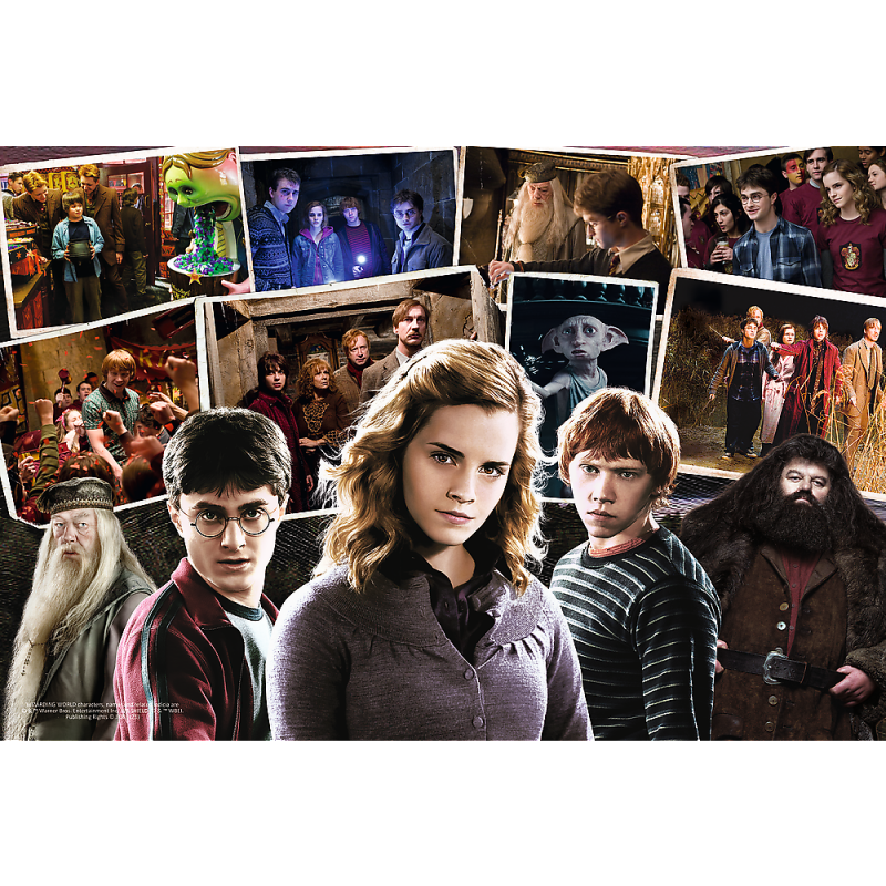Trefl Harry Potter Dėlionė 160 Det.