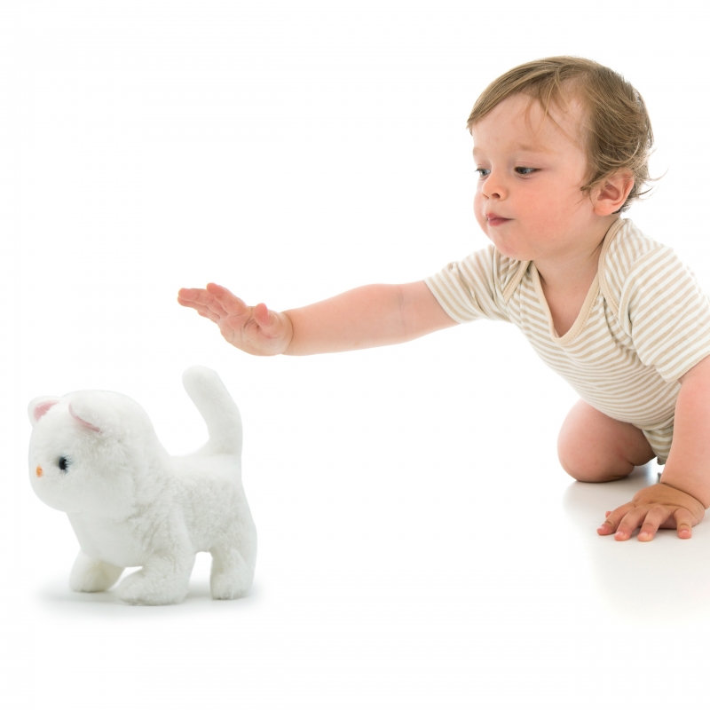 Pugs At Play Vaikštantis Kačiukas Casper