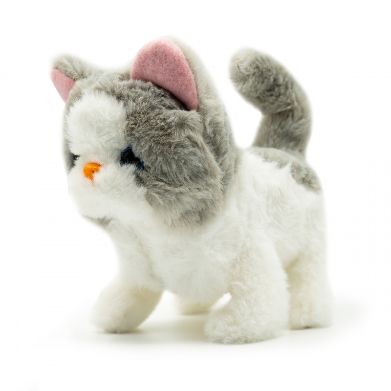 Pugs At Play Vaikštanti Katytė Sasha