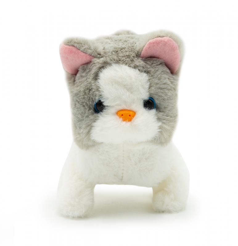 Pugs At Play Vaikštanti Katytė Sasha